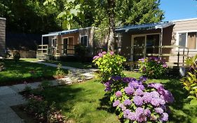 Camping Montorfano
